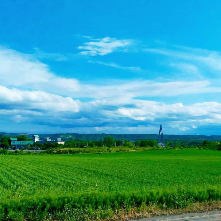 草原